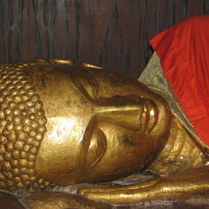 Resa i Buddhas fotspr