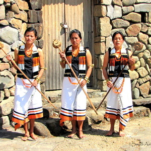 Nagaland tour 2014 Swed-Asia Travels