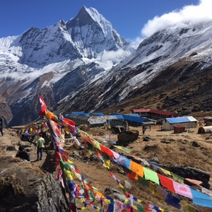 Vandring i Nepal med Swed-Asia Travels