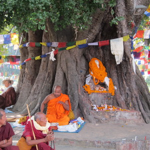 Lumbini - Bodhgaya - Sarnath - Nalanda - Rajgir - Kushinagar ... På resa med Swed-Asia Travels kan du besöka platser viktiga i Buddhas liv och för Buddhismens spridning. Vi skrädarsyr din resa 