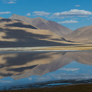 Snöleopardresa i Ladakh med Swed-Asia Travels